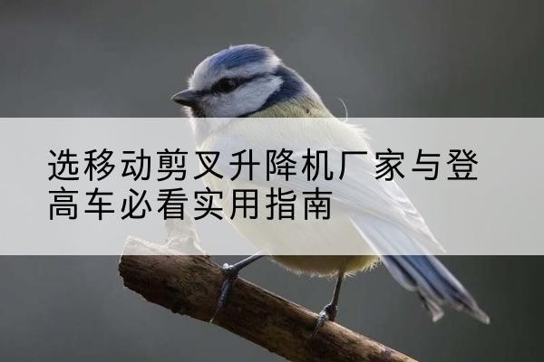 中山电动升降机厂家-选移动剪叉升降机厂家与登高车必看实用指南